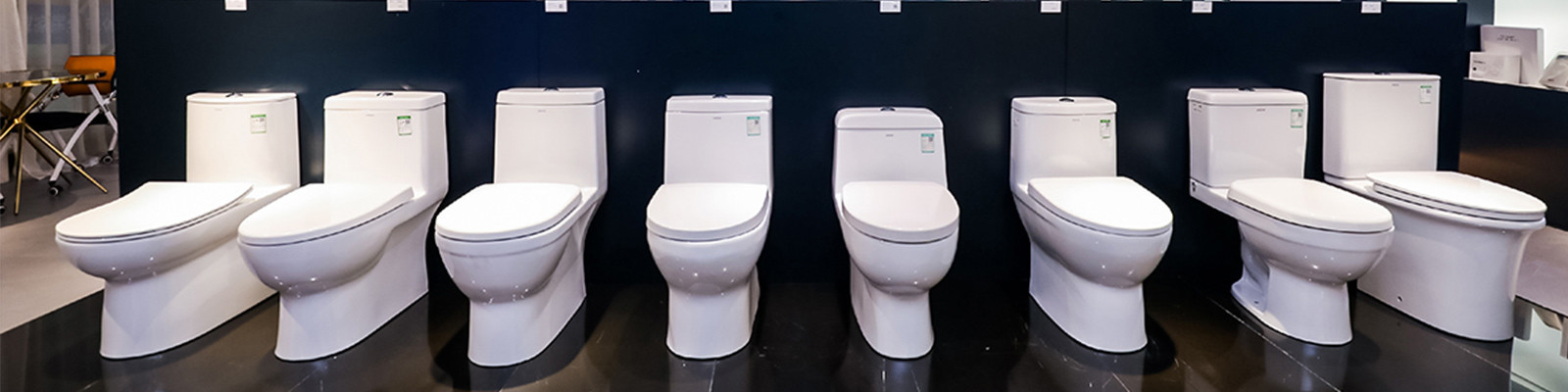 Wand Hung Toilet