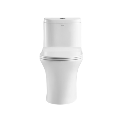 0.8/1.28 GPF Dual Flush Elongated One Piece Toilets Water Efficient