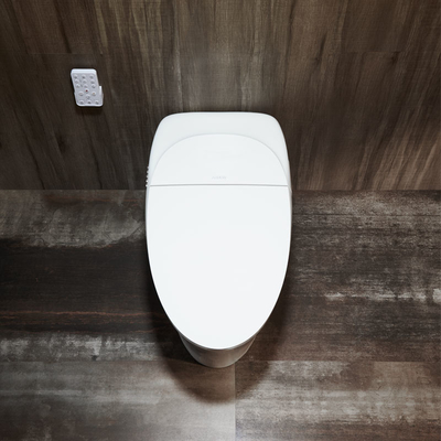 Women Modern Smart Toilet Electric Automatic Flush Intelligent Closet WC