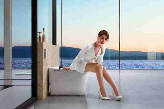 Arrow Brand Modern Smart Toilet with Concealed Tank Automatic Operation and Soft Close Bidet