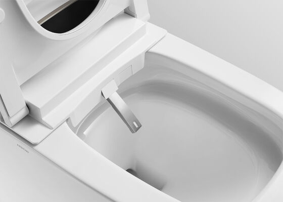 Arrow Brand Modern Smart Toilet with Concealed Tank Automatic Operation and Soft Close Bidet