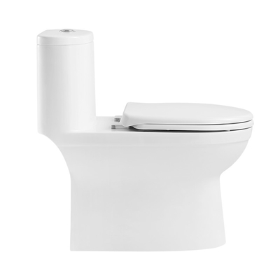 ARROW Washdown 1 One Piece Round Toilet Dual Flush Comfort Height